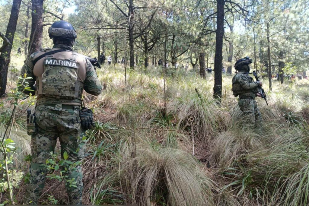 f622d377b9d045cbb7852dfd20fd5351