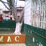 d88d4750ac874baca0f6c175ad56b1da