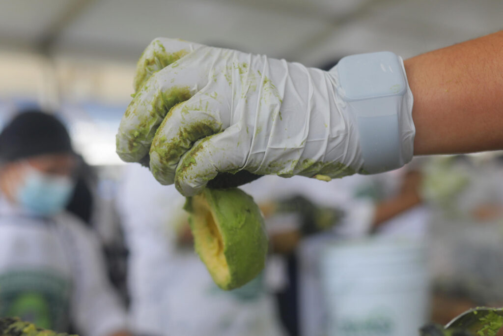 Jalisco logra la marca del guacamole más grande del mundo con uno de más de 12 toneladas